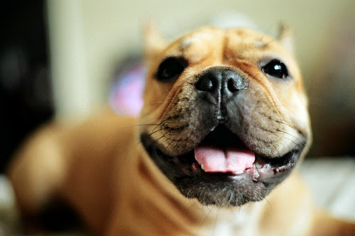 smile