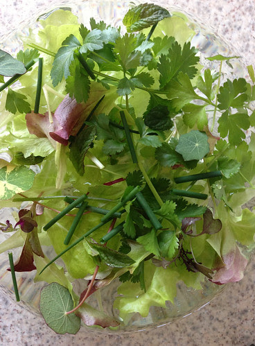 Balcony leaves & herbs