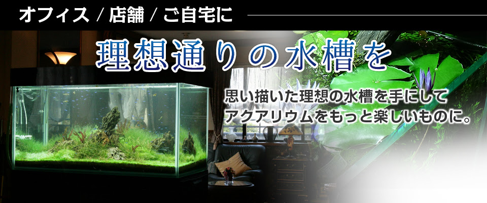 オリジナル水槽デザイン 製造 株式会社プレココーポレーション
