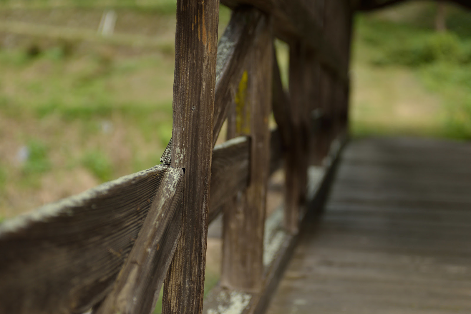 河内の屋根つき橋 田丸橋
