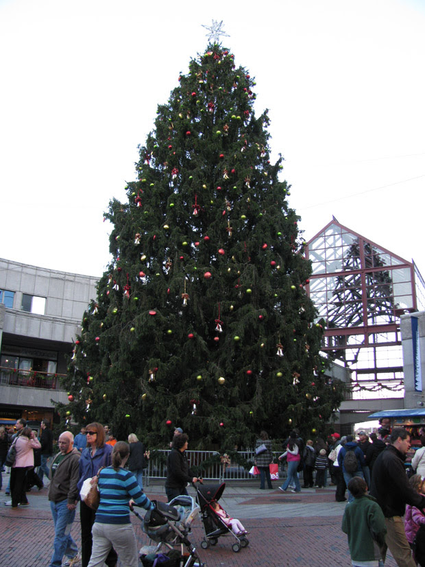 南カリフォルニア発 Toshiのアメリカ見聞録 ボストンの巨大クリスマスツリー