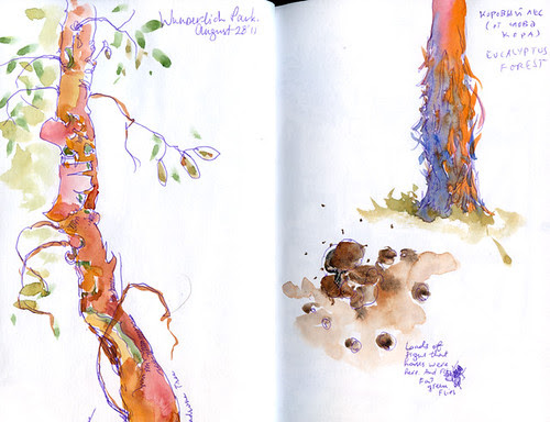 August 2011: Wunderlich Park by apple-pine