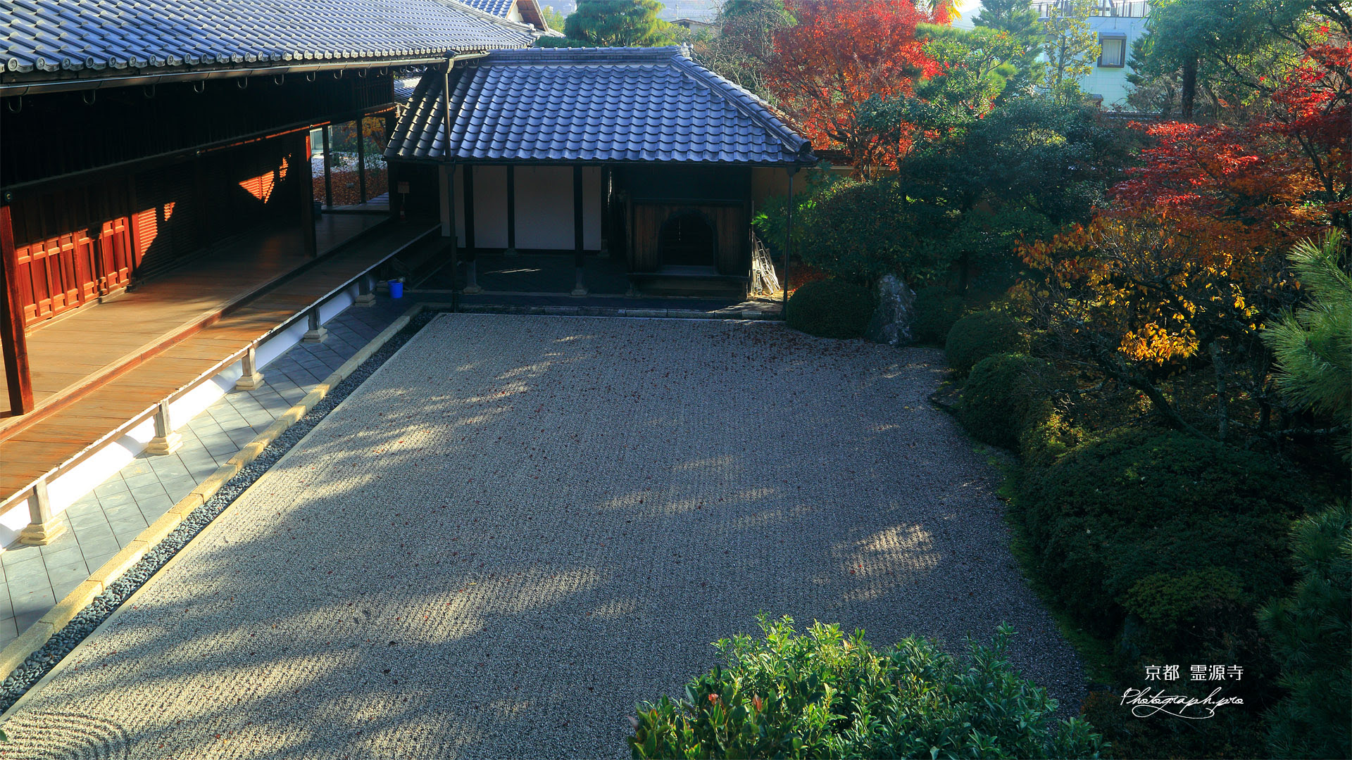 霊源寺 紅葉の枯山水庭園 の壁紙 19x1080