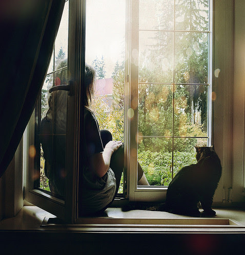 beautiful, cat, contemplative, dfghik, female, girl