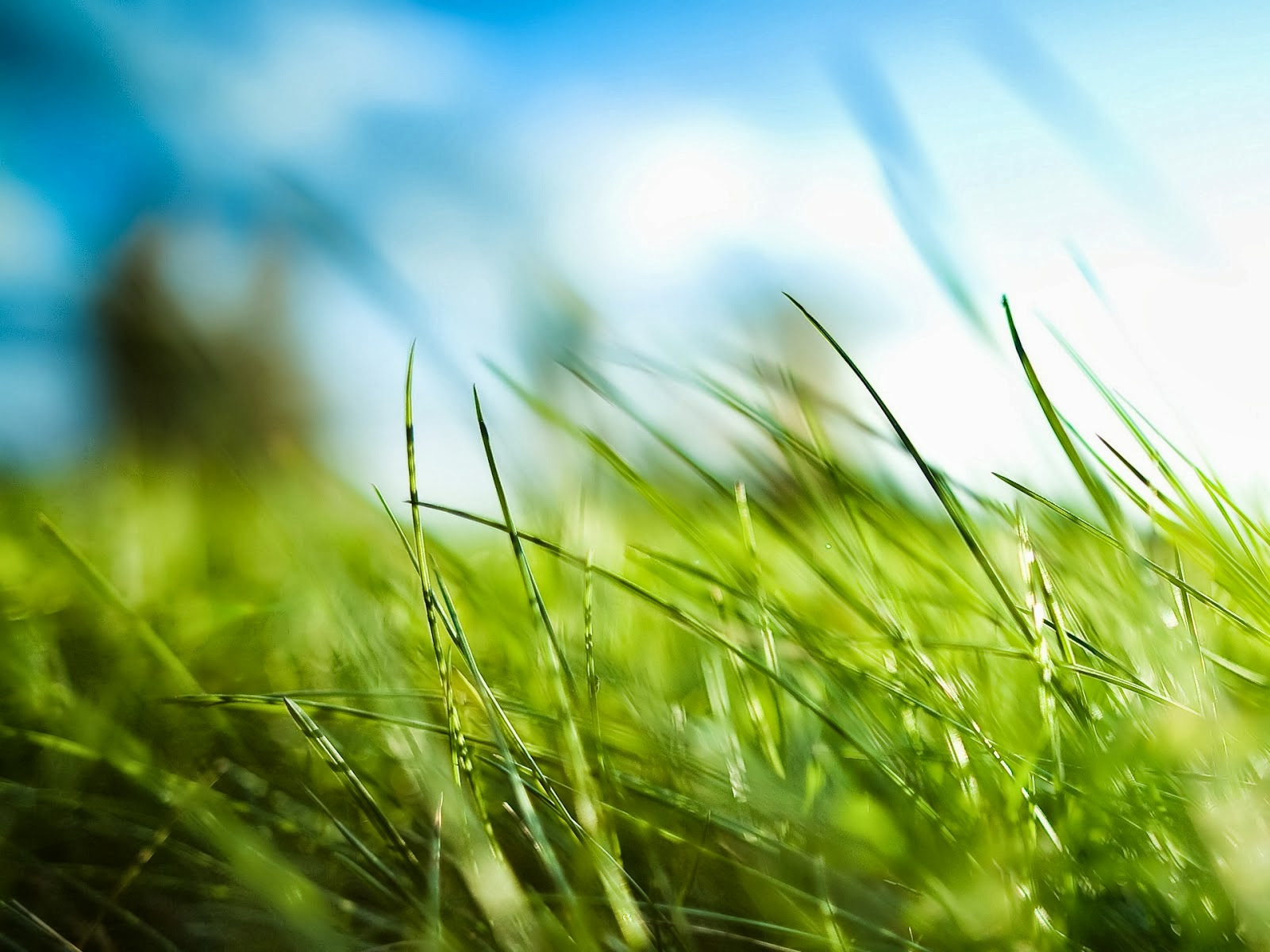 Cool Nature Wallpapers Hd - WallpaperSafari