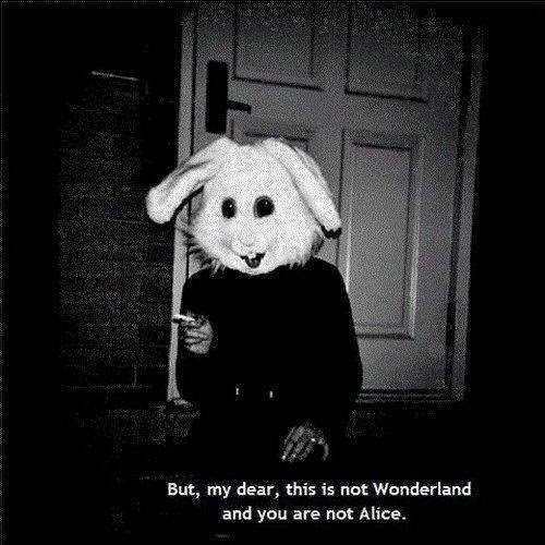 Alice In Wonderland Meme By Yardshark Memedroid