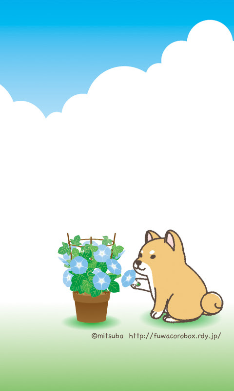 ふわころbox 朝顔と犬 柴 待ち受け画像
