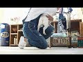 √完了しました！ 犬用品 収納棚 318920-犬用品 収納棚