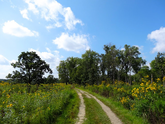 DSC00285 - Version 2