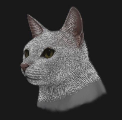 研究・猫の毛並み・その３｜エア下僕のねこ部屋