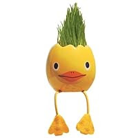 Nyokki Grass Pets - Chickee