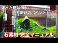 無料ダウンロード 水槽 石組み 割れる 352985