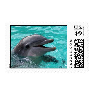 Dolphin head in aquamarine water postage stamp