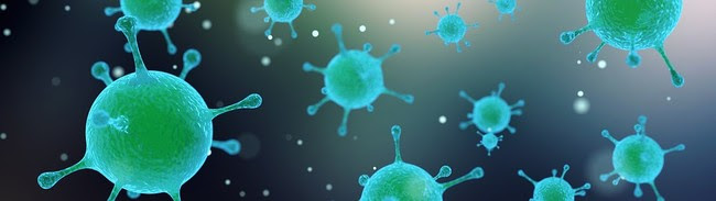 Virus 1913183 960 720