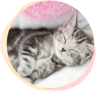 大人用 Wee Herman ハロウィン Wee Pee コスチューム コスプレ Pee 衣装 Wee Herman 仮装 Mars 変装 Shoppee Wee Herman Pee ハロウィン Costume Adult Pee Wee Herman Halloween Fancy Dress 新品販売