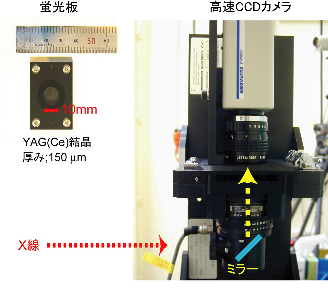 Bl04b1 X線ラジオグラフィー Spring 8 Web Site