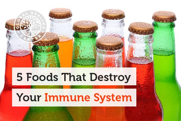 Foods that support immune system
