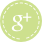 Google+