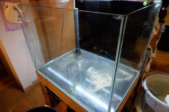 汽水 海水水槽 アーカイブ Dorayaki Papa 貧乏ガレージハウス