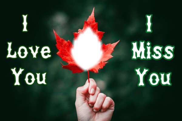 wallpapers Pixiz Love You Rose 2021 pixiz