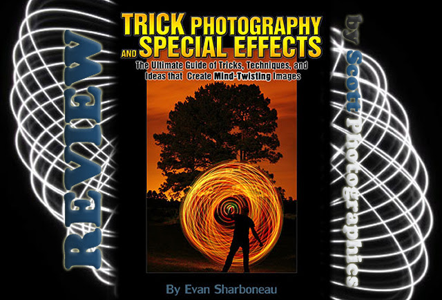 Wildlife Photography Lens Guide : Suggestions For Discovering Dissertation Help