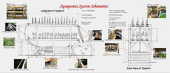 You are Reading About "Aquaponics In Texas" | DIY AQUAPONIC TUTORIAL