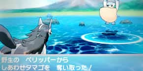 野生ポケモンの持ち物 アイテム一覧 ポケモンoras攻略de Com