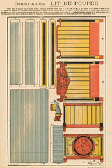 gallibellimg (40)