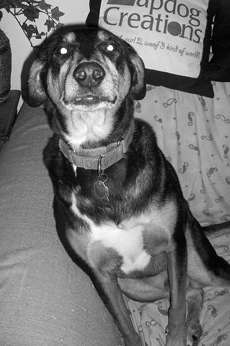 Tut_BW_92912
