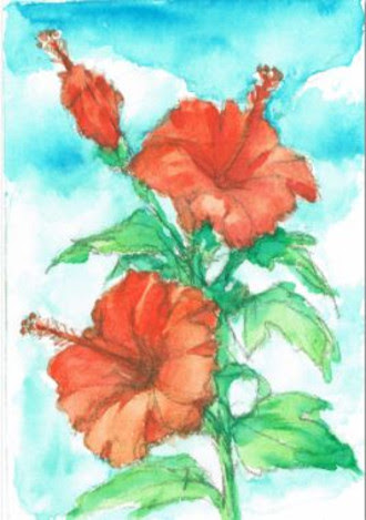 ハイビスカス 絵手紙 塗り絵 田熊 順 塗り絵で癒し 風景画 花の絵