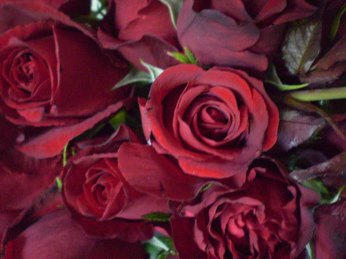 Two dozen red roses
