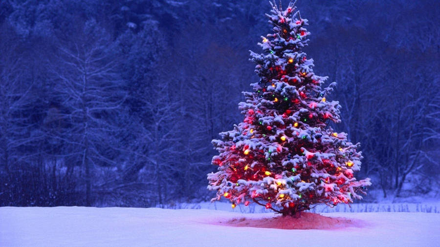 christmas scenes 2017 - Grasscloth Wallpaper