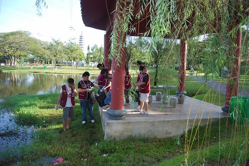 collecting rubbish