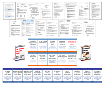 best curriculum vitae template. Amazing CV Templates That