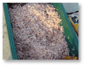 チヌフカセ釣り テクニック編 撒き餌の撒き方 Fishing Net