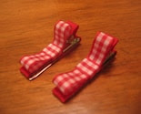 2- Picnic Ribbon Clips