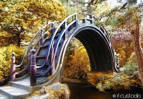 Moon Bridge, Japanese Tea Garden, San Francisco
