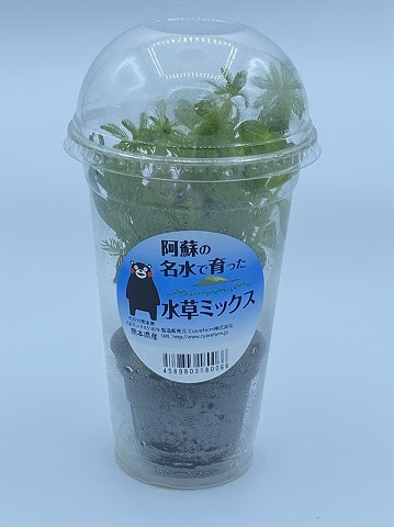 Cuorefarm クオレファーム