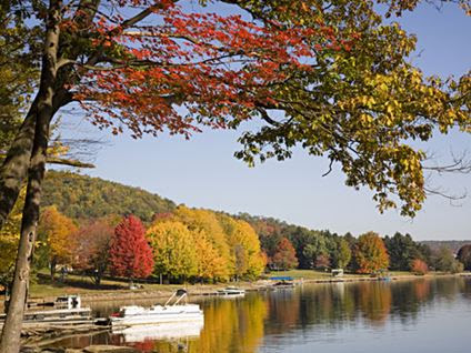 Inspiring Quotes About Autumn - Leaves in their Last Days 