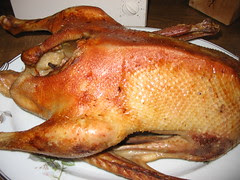 goose