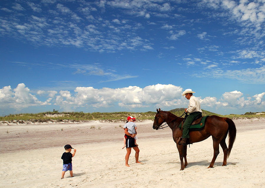 Fire Island Ranger