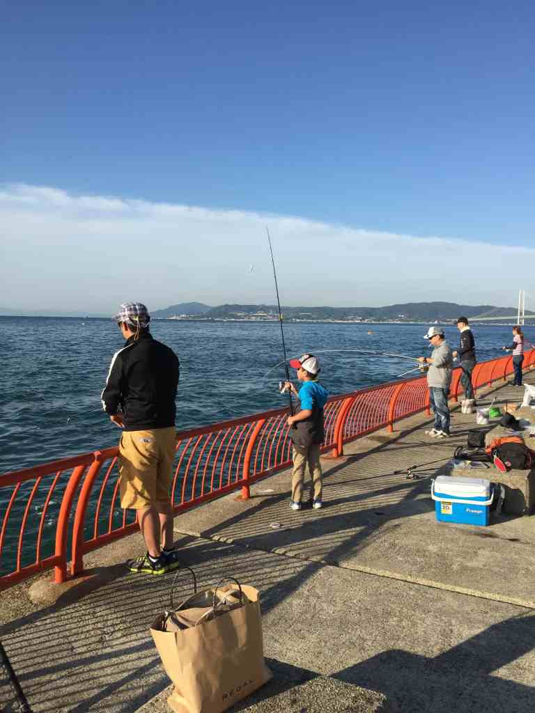 平磯海釣り公園の釣り場紹介（兵庫県神戸市）安全にかつ大物狙いもできる釣り公園 │ ヒラマサとアオリイカを求めて