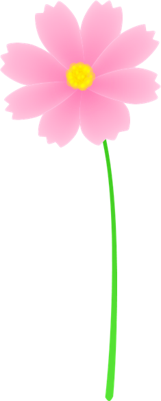ピンク色のコスモス 茎有り のイラスト 無料イラスト素材 ちいさないきもの