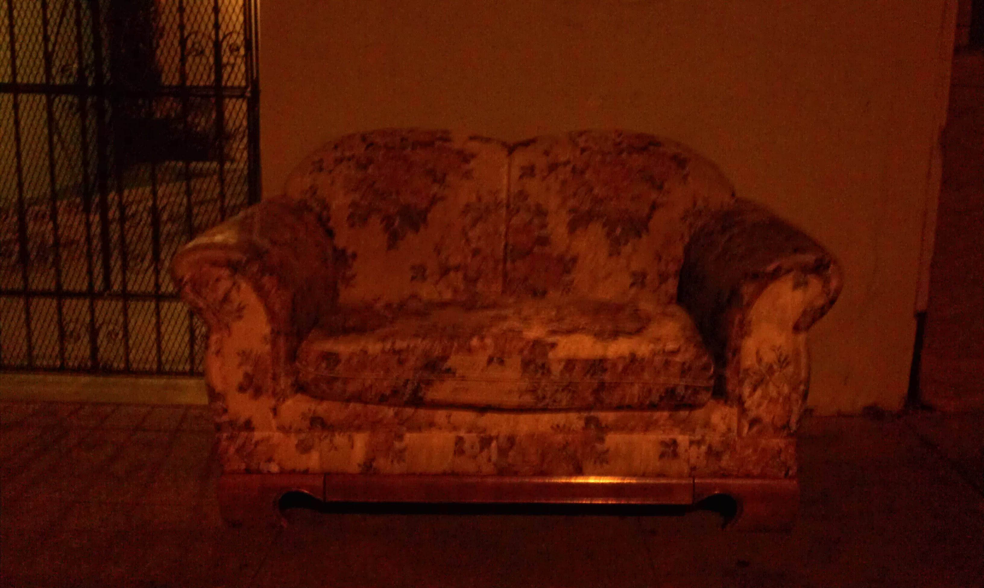 Itâs Shaped Like Bed Bugs!â | Bunnie Ears.