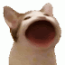 Pop Cat Gif Transparent : Cat Pop GIF - Find & Share on GIPHY - Shop our selection and receive free shipping and lowest price, guaranteed.