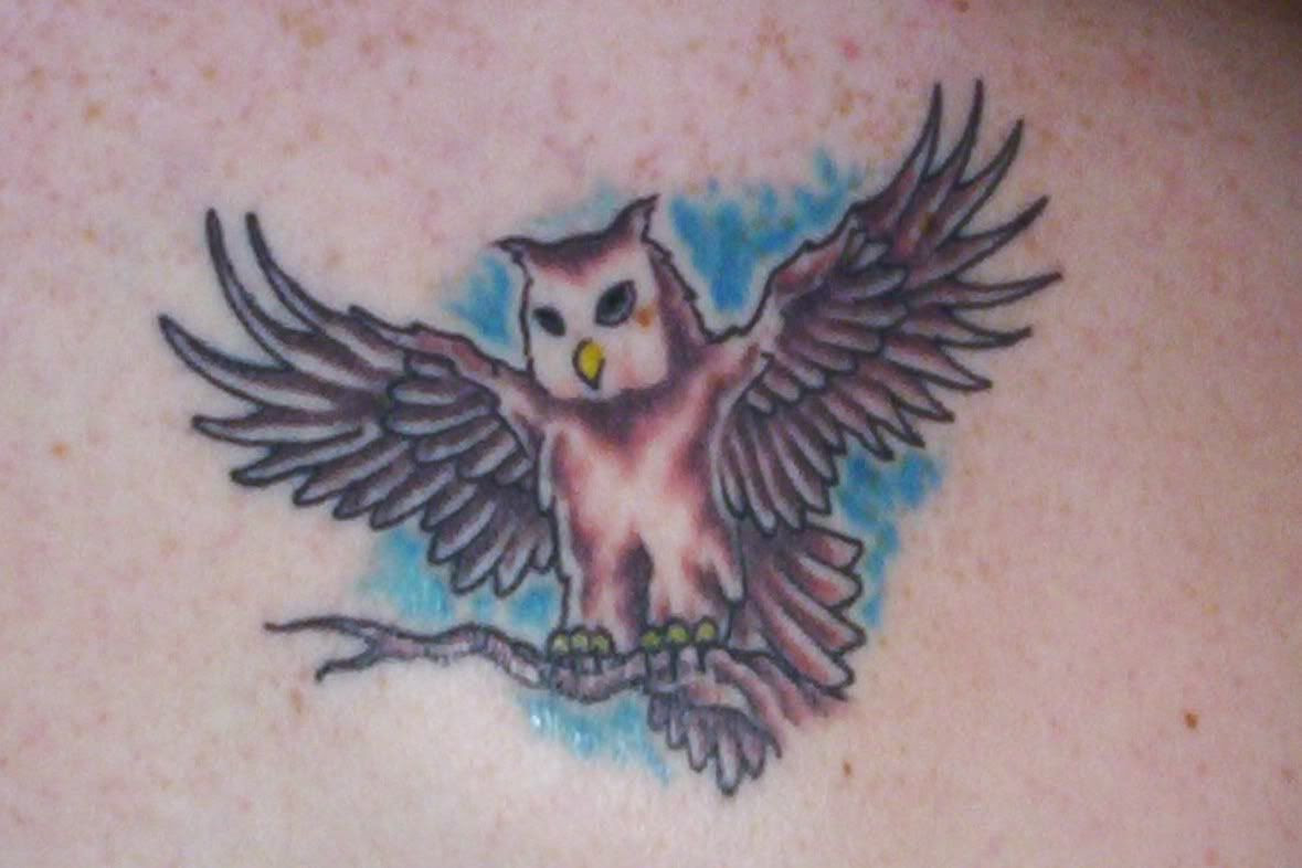 Owl Bird Tattoo