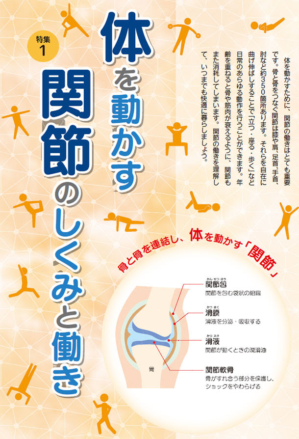 体を動かす関節のしくみと働き 健康食品のインシップ