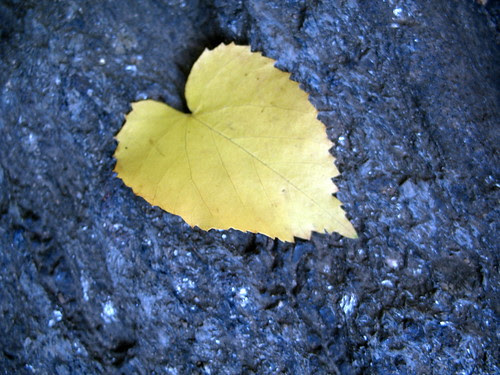 my heart on a rock / Mi Corazon en Roca
