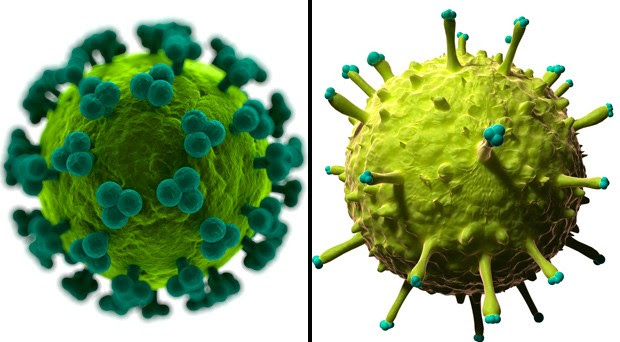 Imagens mostram concepção artística de vírus HIV (esq.) e de vírus H1N1 (dir.); (Foto: SKU/Science Photo Library / )