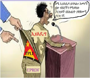 tplf eprdf